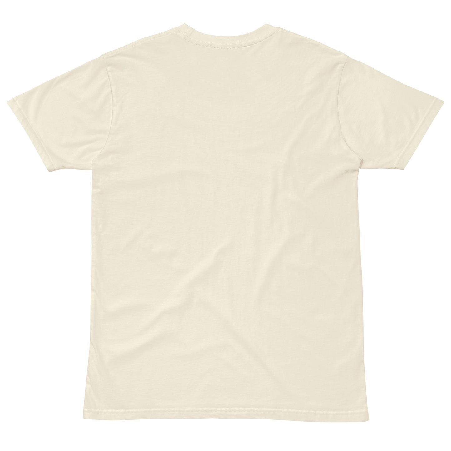 Premium T - Jesus In The Streets